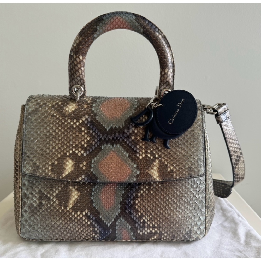 Authentic Dior handbag 9.8/10 new!